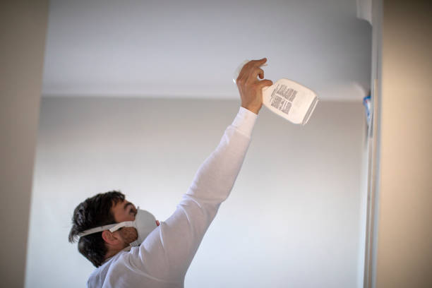 Best Mold Cleaning Services  in Washburn, ND