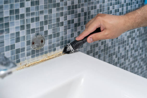  Washburn, ND Mold Removal Pros