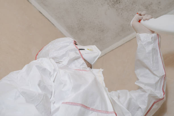 Best Office Mold Removal Services  in Washburn, ND