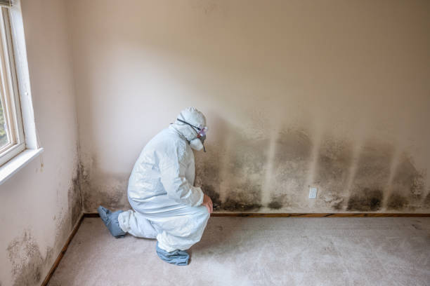 Water Damage Restoration in Washburn, ND